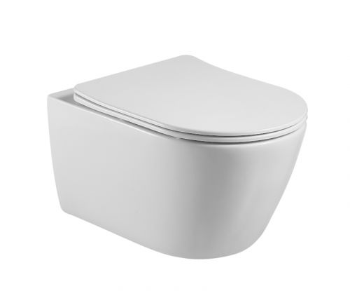 Унитаз подвесной Aquatek Бетта AQ1253W-00 с сиденьем Soft Close