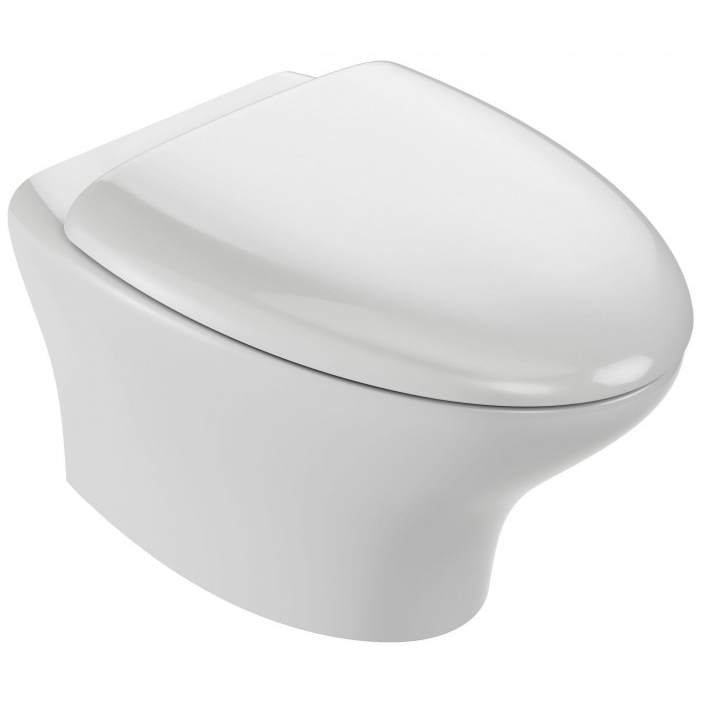 Унитаз подвесной Jacob Delafon Nouvelle Vague EDJ102-00 безободковый