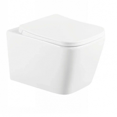 Унитаз подвесной Quadra, белый, горизонтальный выпуск, безободковый, в комплекте с  быстросьемным сиденьем микролифт  дюропласт Selena Q001WG