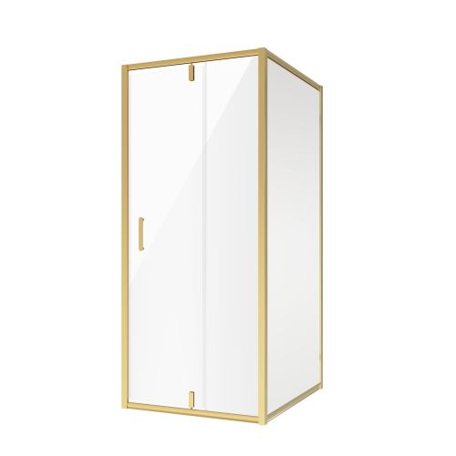 Душ.ограждение NG-43-10AG-A110G (100*110*190) прямоугольник, дверь распашная, 2 места