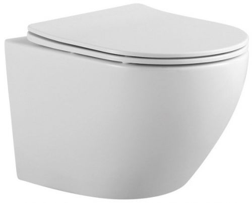 Подвесной унитаз Акватек Европа AQ1901-00 безободковый, с микролифтом