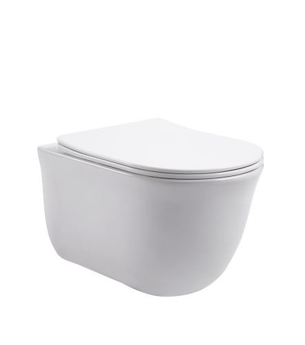 AQ1111-00 КЛАССИК Унитаз подвесной безободковый 525*365*340