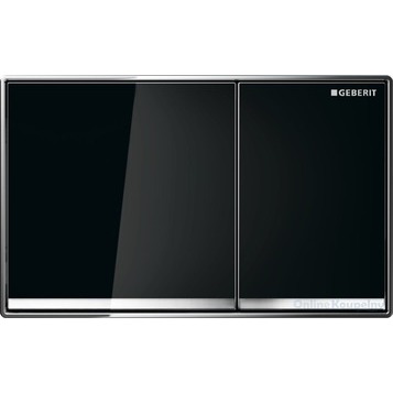 Клавиша смыва Geberit Omega 60 115.081.SJ.1 черный