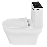 EY-9002G Унитаз -моноблок, сиденье с микролифтом, белый/черный