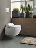 Унитаз-биде подвесной Geberit AquaClean Tuma Comfort 146.294.SI.1 безободковый панель белое стекло