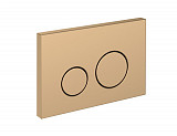 Кнопка TWINS для LINK PRO/VECTOR/LINK/HI-TEC пластик золотой матовый
