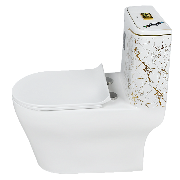 9005 Унитаз -моноблок, сиденье с микролифтом, белый/золото