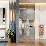 Душевая перегородка Ambassador Waik-in 15031105