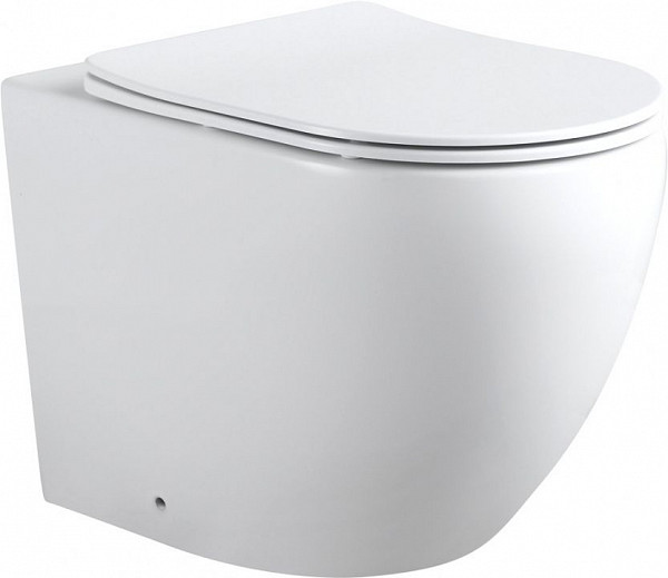 Унитаз приставной Aquanet Rimless Cetus 2.0 F LX-1902 Cetus 2.0 F