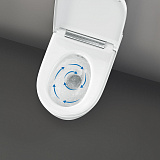 Унитаз-биде подвесной Geberit AquaClean Sela 146.224.11.1 панель белая