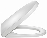 Крышка/сиденье для унитаза Jacob Delafon ODEON UP с петлями из нержавеющей стали 8407K-00