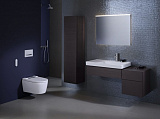 Унитаз-биде подвесной Geberit AquaClean Sela 146.224.11.1 панель белая