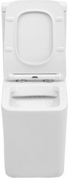 Чаша напольного унитаза Aquanet Rimless Tavr-C1 BL-103N-TPT TAVR-C1