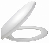 Крышка/сиденье для унитаза Jacob Delafon BRIVE с микролифтом E70014-00