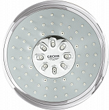 Душевая лейка Grohe Power&Soul 27673000