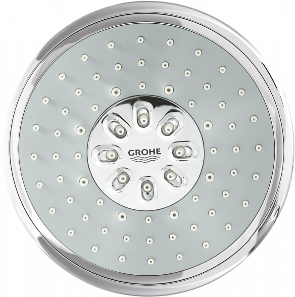 Душевая лейка Grohe Power&Soul 27673000