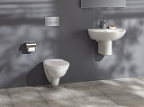 Унитаз подвесной Jacob Delafon Patio EDV102-00 безободковый