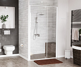 Душевая дверь Wasserkraft Neime 19P04