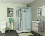 Душевая кабина Niagara Premium 120х80х210 NG-6012-01GQR