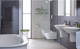 Унитаз Duravit Darling New 2545090000 подвесной