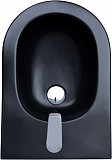 Биде подвесное Aquanet Lake черный матовый 00316464