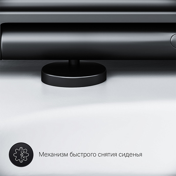C901700SCmb Gem подвесной унитаз FlashClean с черным матовым сиденьем микролифт