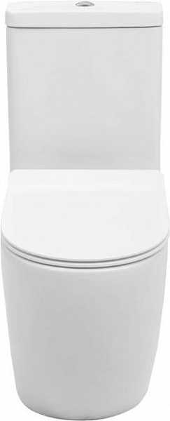 Чаша напольного унитаза Aquanet Rimless Cetus-C1 BL-102N-TPT CETUS-C1