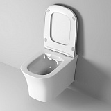 Унитаз Style GR-4474S (485*355*350) подвесной БЕЗОБОДКОВЫЙ с тонкой крышкой, 1 место
