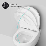 C501700WH Inspire подвесной унитаз FlashClean