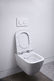 Унитаз подвесной с инсталляцией GEBERIT Smyle 500.300.21.S 