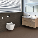 Унитаз-биде подвесной Geberit AquaClean Tuma Comfort 146.294.FW.1 вставка нерж. сталь