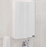 Зеркальный шкаф Стандарт 45, фацет Санта 113001