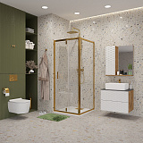 Душ.ограждение NG-43-10AG-A110G (100*110*190) прямоугольник, дверь распашная, 2 места