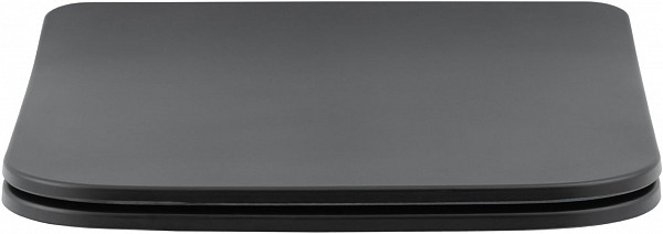 Унитаз подвесной Aquanet Rimless Tavr-W BL-103N-WHT black черный матовый TAVR-W BW