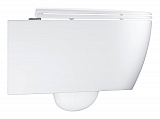Подвесной унитаз Grohe Essence 3957100H