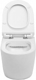 Унитаз подвесной Aquanet Rimless Cetus-W BL-102N-WHT CETUS-W