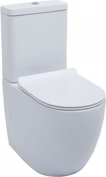 Чаша напольного унитаза Aquanet Rimless Cetus-C1 BL-102N-TPT CETUS-C1