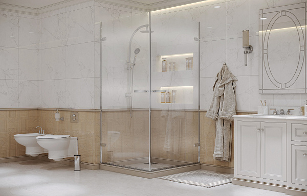 Душевое ограждение Ambassador Abner 10011105