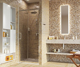 Душевая дверь Wasserkraft Salm 27I27