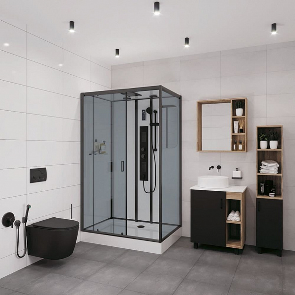 Душевая кабина Niagara Premium 120х80х210 NG- 6912-01GQL BLACK
