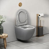 Унитаз GR-4455GLMS Color (485*365*360) СВЕТЛО-СЕРЫЙ МАТОВЫЙ подвесной БЕЗОБОДКОВЫЙ с тонкой крышкой
