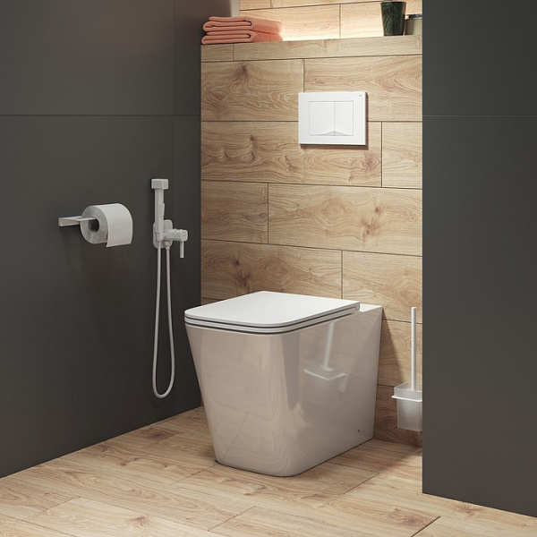 Унитаз приставной, безободковый, Bild, IDDIS, BILRDSEi26