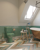 Унитаз-компакт Santeri Виктория салатовый 1.P301.6.S04.00B.F