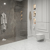 Душ. перегородка NG-663-12 (120x195), 1 место