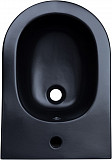 Биде подвесное Aquanet Lake черный матовый 00316464