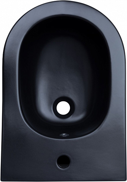 Биде подвесное Aquanet Lake черный матовый 00316464