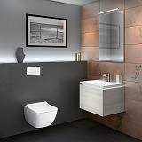 Унитаз подвесной Villeroy & Boch Venticello Plus 4611 RSR1