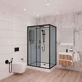 Душевая кабина Niagara Premium 120х80х210 NG- 6912-01QL BLACK