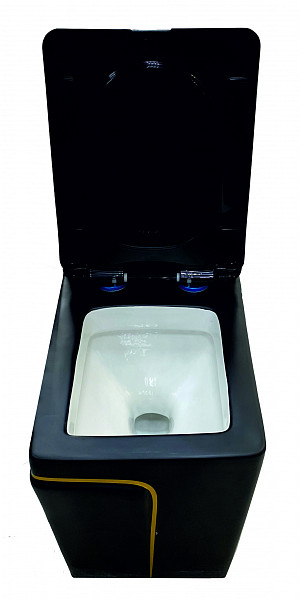 EY-9009 Унитаз -моноблок, с сиденьем термопласт с микролифтом серый/золото