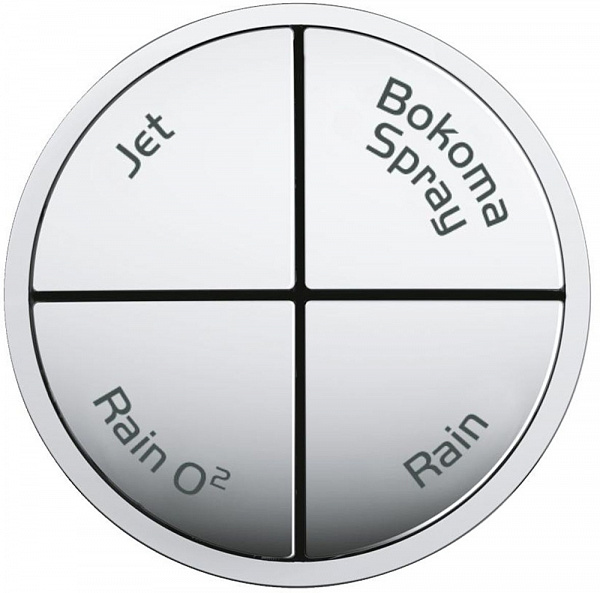 Душевая лейка Grohe Power&Soul 27673000